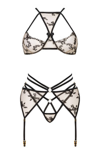 Luxurious lacey bra set